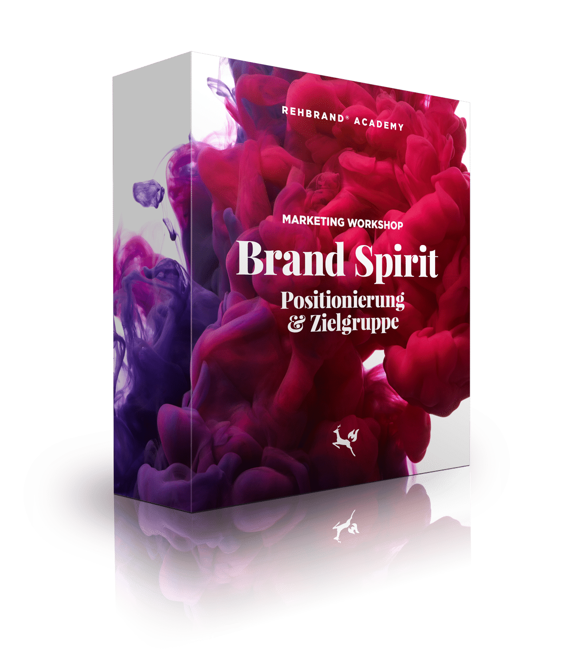 600ad4bb8e3ea-brandspirit-box10-final